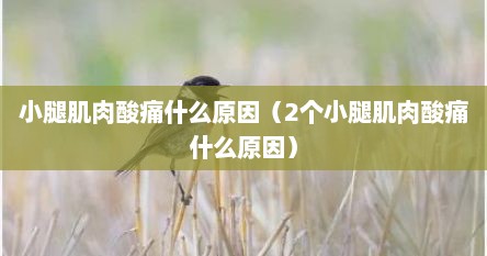 小腿肌肉酸痛什么原因（2个小腿肌肉酸痛什么原因）