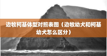 边牧柯基体型对照表图（边牧幼犬和柯基幼犬怎么区分）