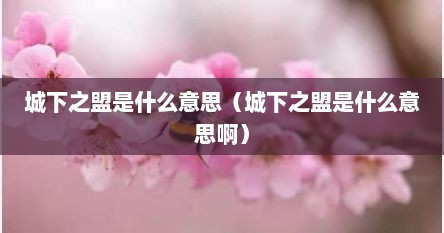 城下之盟是什么意思（城下之盟是什么意思啊）