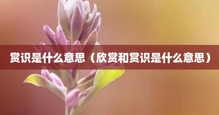赏识是什么意思（欣赏和赏识是什么意思）
