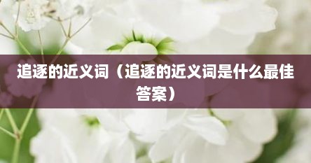 追逐的近义词（追逐的近义词是什么最佳答案）