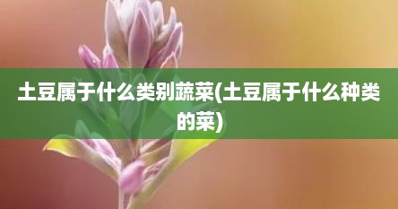 土豆属于什么类别蔬菜(土豆属于什么种类的菜)