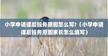 小学申请课后服务原因怎么写?（小学申请课后服务原因家长怎么填写）