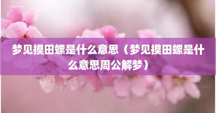 梦见摸田螺是什么意思（梦见摸田螺是什么意思周公解梦）