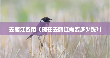 去丽江费用（现在去丽江需要多少钱?）