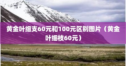黄金叶细支60元和100元区别图片(黄金叶细枝60元)