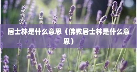 居士林是什么意思(佛教居士林是什么意思)