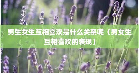 男生女生互相喜欢是什么关系呢（男女生互相喜欢的表现）