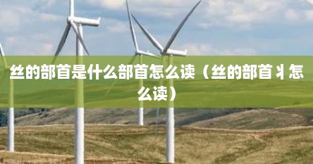 丝的部首是什么部首怎么读（丝的部首丬怎么读）