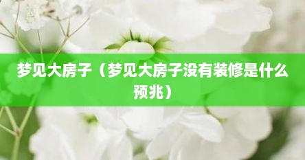 梦见大房子（梦见大房子没有装修是什么预兆）