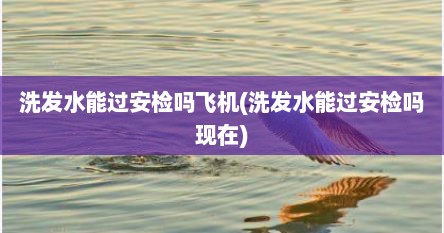 洗发水能过安检吗飞机(洗发水能过安检吗现在)