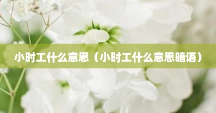 小时工什么意思（小时工什么意思暗语）