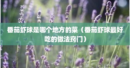 番茄虾球是哪个地方的菜（番茄虾球最好吃的做法窍门）