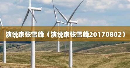 演说家张雪峰（演说家张雪峰20170802）
