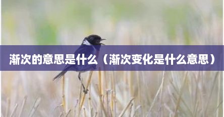 渐次的意思是什么（渐次变化是什么意思）