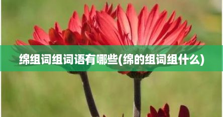 绵组词组词语有哪些(绵的组词组什么)