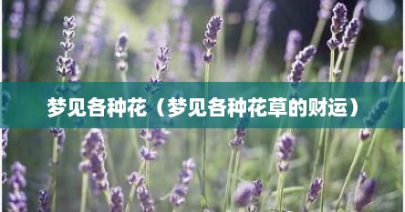 梦见各种花（梦见各种花草的财运）