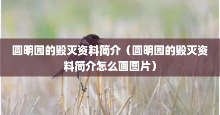 圆明园的毁灭资料简介20(《圆明园的毁灭》资料简介) 圆明园的毁灭资料简介20(《圆明园的毁灭》资料简介)