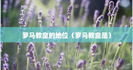 罗马教皇的地位（罗马教皇是）