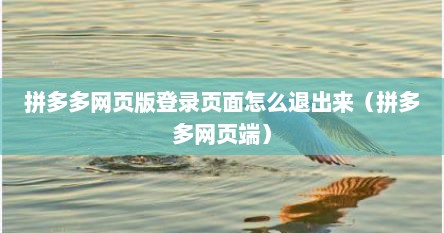拼多多网页版登录页面怎么退出来（拼多多网页端）