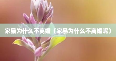 家暴为什么不离婚（家暴为什么不离婚呢）