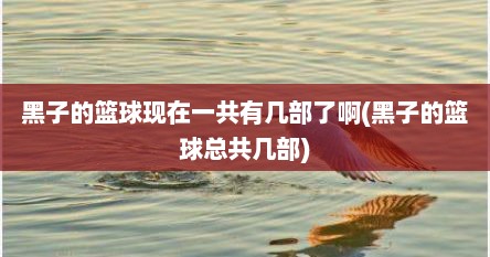 黑子的篮球现在一共有几部了啊(黑子的篮球总共几部)