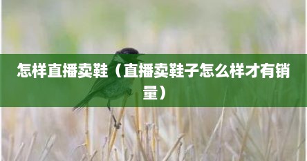 怎样直播卖鞋（直播卖鞋子怎么样才有销量）
