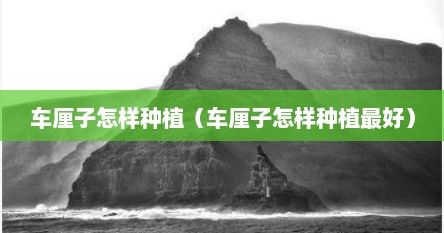车厘子怎样种植（车厘子怎样种植最好）