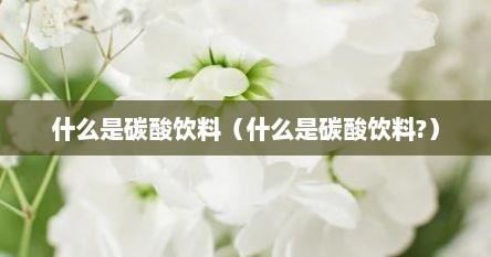 什么是碳酸饮料（什么是碳酸饮料?）