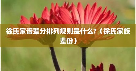 徐氏家谱辈分排列规则是什么?（徐氏家族辈份）
