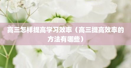 高三怎样提高学习效率（高三提高效率的方法有哪些）