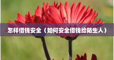 怎样借钱安全（如何安全借钱给陌生人）