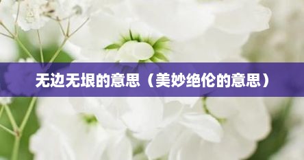 无边无垠的意思（美妙绝伦的意思）