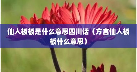 仙人板板是什么意思四川话（方言仙人板板什么意思）
