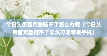 今日头条首页登陆不了怎么办呢（今日头条首页登陆不了怎么办呢苹果手机）