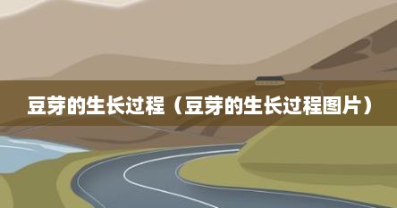 豆芽的生长过程（豆芽的生长过程图片）