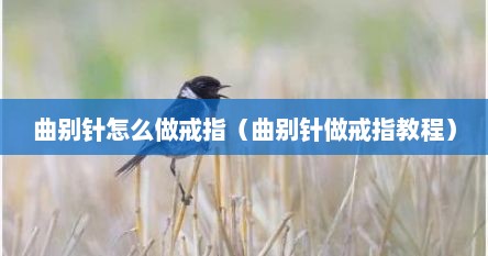 曲别针怎么做戒指（曲别针做戒指教程）