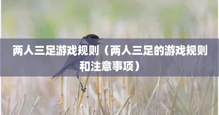 两人三足游戏规则（两人三足的游戏规则和注意事项）