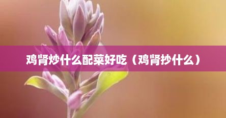 鸡肾炒什么配菜好吃（鸡肾抄什么）