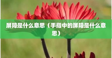 屏障是什么意思（手指中的屏障是什么意思）