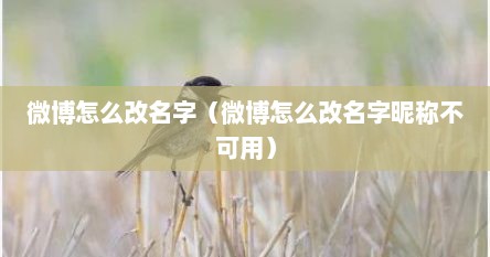 微博怎么改名字（微博怎么改名字昵称不可用）