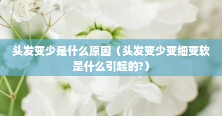 头发变少是什么原因（头发变少变细变软是什么引起的?）