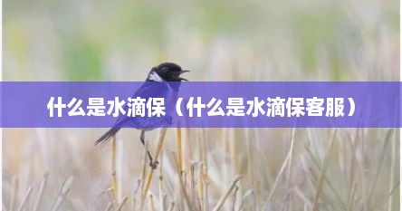 什么是水滴保（什么是水滴保客服）