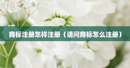 商标注册怎样注册（请问商标怎么注册）