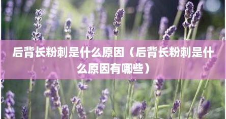 后背长粉刺是什么原因（后背长粉刺是什么原因有哪些）