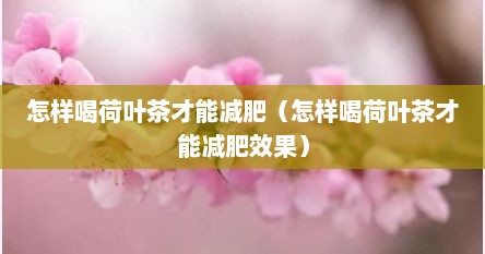 怎样喝荷叶茶才能减肥（怎样喝荷叶茶才能减肥效果）