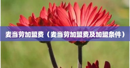 麦当劳加盟费（麦当劳加盟费及加盟条件）