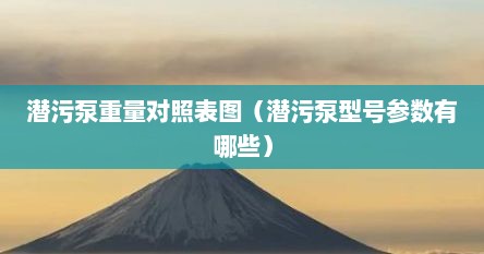 潜污泵重量对照表图（潜污泵型号参数有哪些）