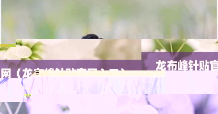 龙布峰针贴官网（龙布峰针贴官网入口）