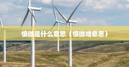慎微是什么意思（慎微啥意思）
